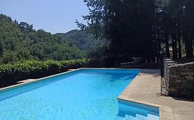IL Bosco di Campo Marzano Sunlight